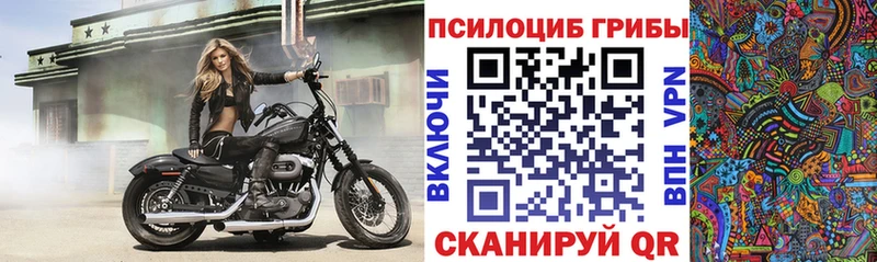 Галлюциногенные грибы Cubensis  Купить где  Кола 
